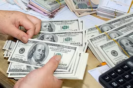 Năm 2014, VNĐ sẽ ra sao?