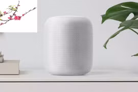 Sắm loa thông minh chơi Tết Mậu Tuất