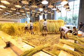 Kinh ngạc hình ảnh không thể tin nổi trong tòa nhà 9 tầng