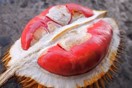 Sầu riêng ruột đỏ bỗng dưng được quảng cáo tràn lan trên mạng