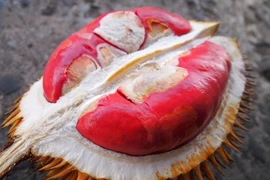 Sầu riêng ruột đỏ bỗng dưng được quảng cáo tràn lan trên mạng