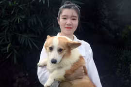 Cô gái 9X về quê nuôi chó, doanh thu 1 tỷ đồng/năm