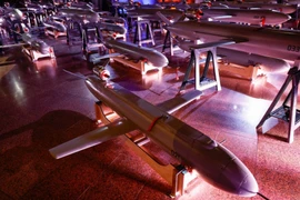 Bí mật UAV cảm tử Peklo mới nhất của Ukraine rơi vào tay Nga?