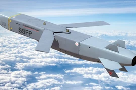  Soi tên lửa hành trình SCALP-EG phiên bản hải quân của Pháp