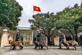 Xem Cảnh sát cơ động CATP Hà Nội huấn luyện chú chó nghiệp vụ