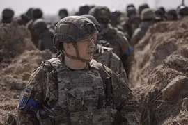 Phương Tây cảnh báo thảm họa ở Ukraine, Tổng Tư lệnh biết rõ sự thật 