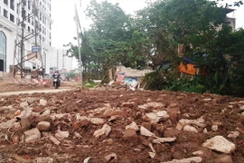 Thanh tra Chính phủ yêu cầu làm rõ thông tin 'đổi 60ha đất lấy 1,6 km đường' ở Hà Nội