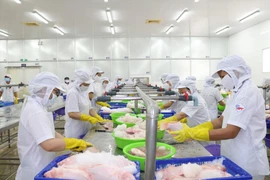 Bộ Tài chính: Thu ngân sách tăng trở lại