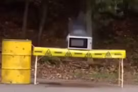 Nướng cua trong lò vi sóng và cái kết bất ngờ