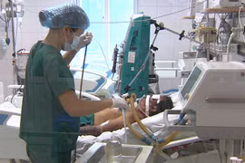 Một trường hợp suýt tử vong vì mắc liên cầu lợn 