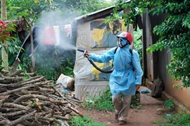 TP HCM tăng cường biện pháp diệt muỗi phòng bệnh do Zika