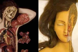 Giải phẫu người rùng rợn những năm 1700-1800
