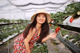 Hoài An: "Khi chuẩn bị cưới lần hai, bạn trai tôi đột ngột qua đời"