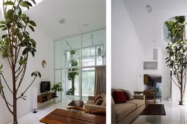 Ngắm biệt thự trắng tuyệt đẹp ở TP HCM xuất hiện trên báo Mỹ