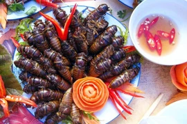 Khám phá các món ngon từ ve sầu, đặc sản hiếm có mùa hè