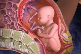 Cảnh báo nguyên nhân và dấu hiệu dẫn đến suy thai mẹ bầu cần thận trọng