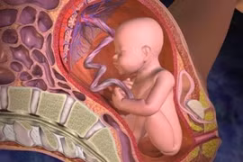 Cảnh báo nguyên nhân và dấu hiệu dẫn đến suy thai mẹ bầu cần thận trọng