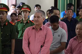 Diễn biến bất ngờ sau vụ xét xử chủ mưu húi trọc trên 64ha rừng