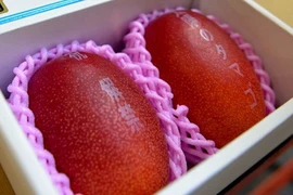 Những loại quả đắt nhất từng được bán