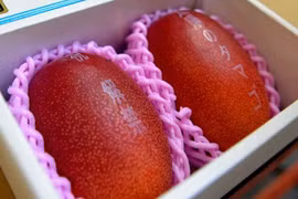 Những loại quả đắt nhất từng được bán