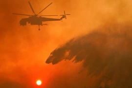 Chùm ảnh cháy rừng kinh hoàng tàn phá khắp thế giới