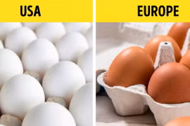 Kinh ngạc sự khác biệt của 10 thực phẩm ở Mỹ với các nước trên thế giới 