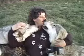 Kỳ lạ cảnh nhiếp ảnh gia hôn... bầy chó sói 