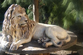 Sừng sững tượng sư tử trang trí khuôn viên nhà đại gia