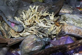 Rúng động những vụ thực phẩm quá hạn không tưởng