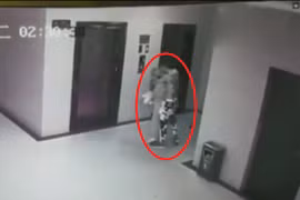 Sàm sỡ gái trong thang máy, gã biến thái bị cảnh sát “sờ gáy”