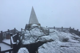 Cận cảnh tuyết rơi dày đặc trên đỉnh Fansipan