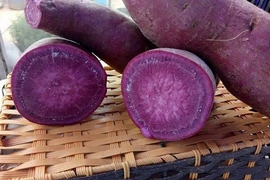 Thực phẩm khiến tế bào ung thư tự hủy có nhiều tại Việt Nam 