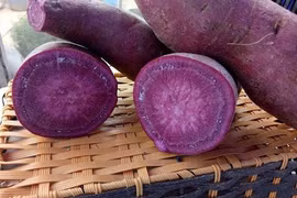 Thực phẩm khiến tế bào ung thư tự hủy có nhiều tại Việt Nam 