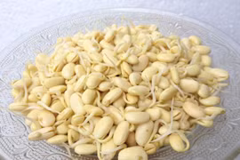 Những thực phẩm mọc mầm được xem là “thần dược” tốt cho sức khỏe