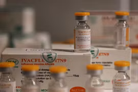 Sắp lưu hành vaccine cúm mùa, A/H5N1 do Việt Nam sản xuất