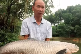 "Thánh câu cá" quyết dọn ra hồ ở riêng bên những chiếc cần câu