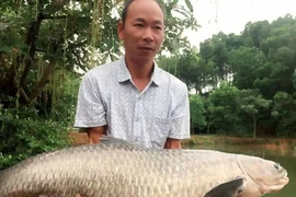 "Thánh câu cá" quyết dọn ra hồ ở riêng bên những chiếc cần câu