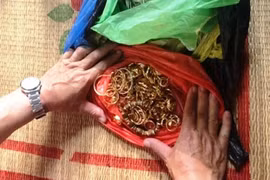 Đột nhập biệt thự của 1 giám đốc, phá két trộm 200 cây vàng