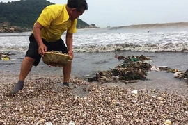 Xem ngư dân Việt khai thác hải sản ngay trên bờ biển