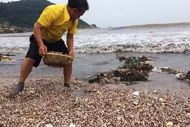 Xem ngư dân Việt khai thác hải sản ngay trên bờ biển