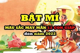 Màu sắc may mắn cho 12 con giáp mặc Tết Nguyên đán 2022