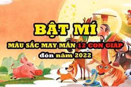 Màu sắc may mắn cho 12 con giáp mặc Tết Nguyên đán 2022
