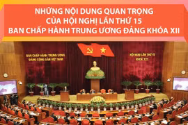 Những nội dung quan trọng của Hội nghị Trung ương 15