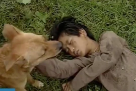 Bé An 'Đất phương Nam' và ký ức khi được chó Phèn cứu sống trong phim 