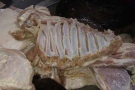 Thịt cá thiu thối đem bán cho bữa ăn học sinh