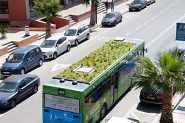 Dự án kỳ lạ: Trồng cây trên nóc... xe bus