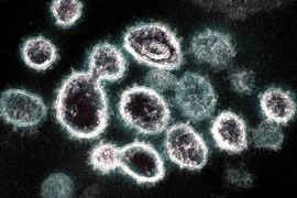 Thêm 31.787 ca mắc Covid-19, Hà Nội có 3.972 F0