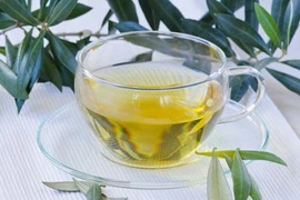 Lợi ích đáng kinh ngạc khi uống trà lá ô liu ít ai biết