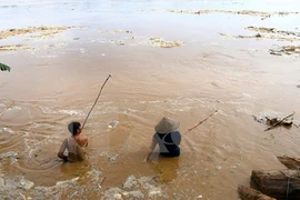 Phú Thọ: Bơi ra sông vớt củi, bị lũ cuốn trôi 