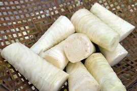 Săn đặc sản hiếm củ hũ khóm Cầu Đúc trứ danh